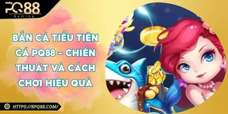 PQ88 ra mắt ưu đãi giá trị, tặng quà mỗi ngày