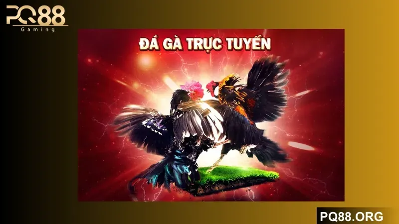 Từ đăng ký đến lên điểm, từng bước vững chắc